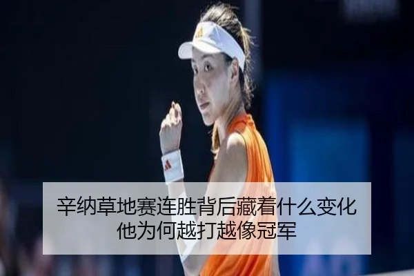 辛纳草地赛连胜背后藏着什么变化 他为何越打越像冠军 | xingkongtiyu
